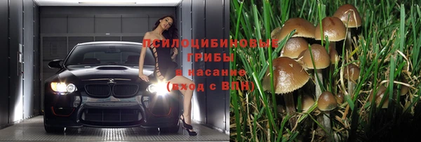 ПСИЛОЦИБИНОВЫЕ ГРИБЫ Володарск