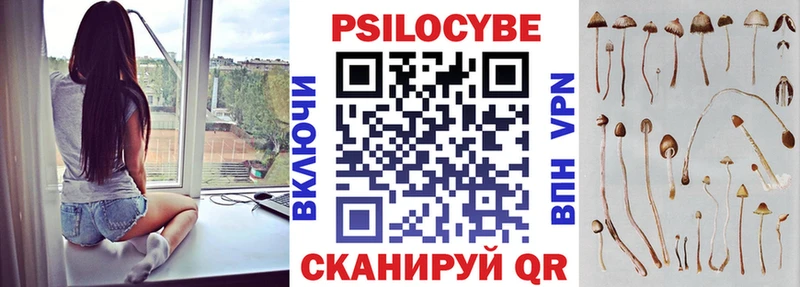 дарнет шоп  Электрогорск  Псилоцибиновые грибы мухоморы 